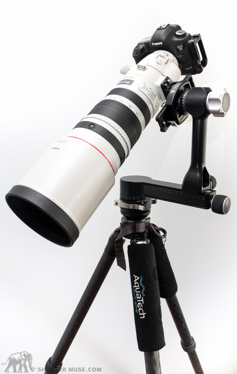 Canon 200-400 gimbal setup