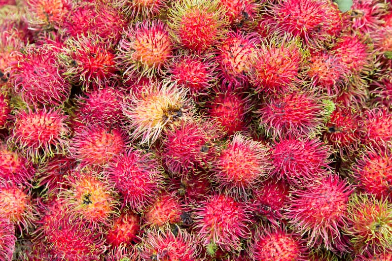 Bangkok market 