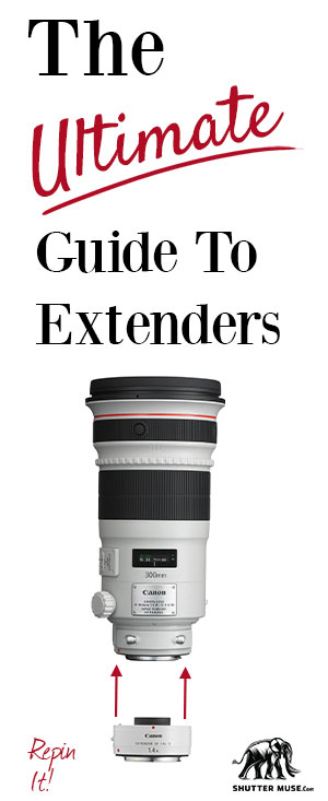 extender-guide