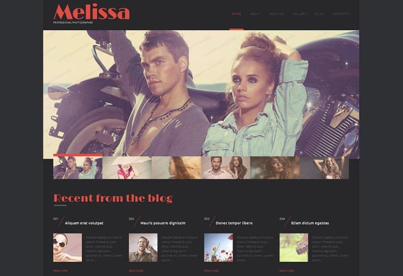 free-wordpress-photography-theme