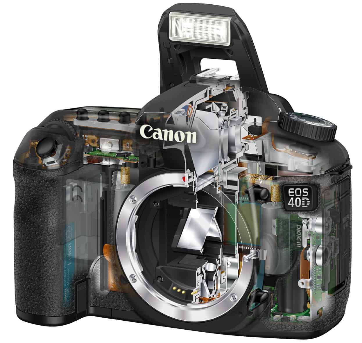 What Is An EOS Camera?