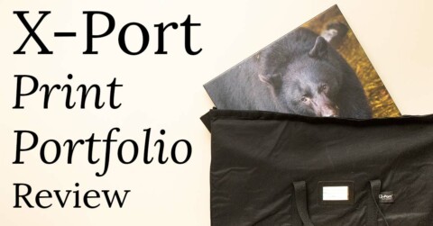 x-port print portfolio review