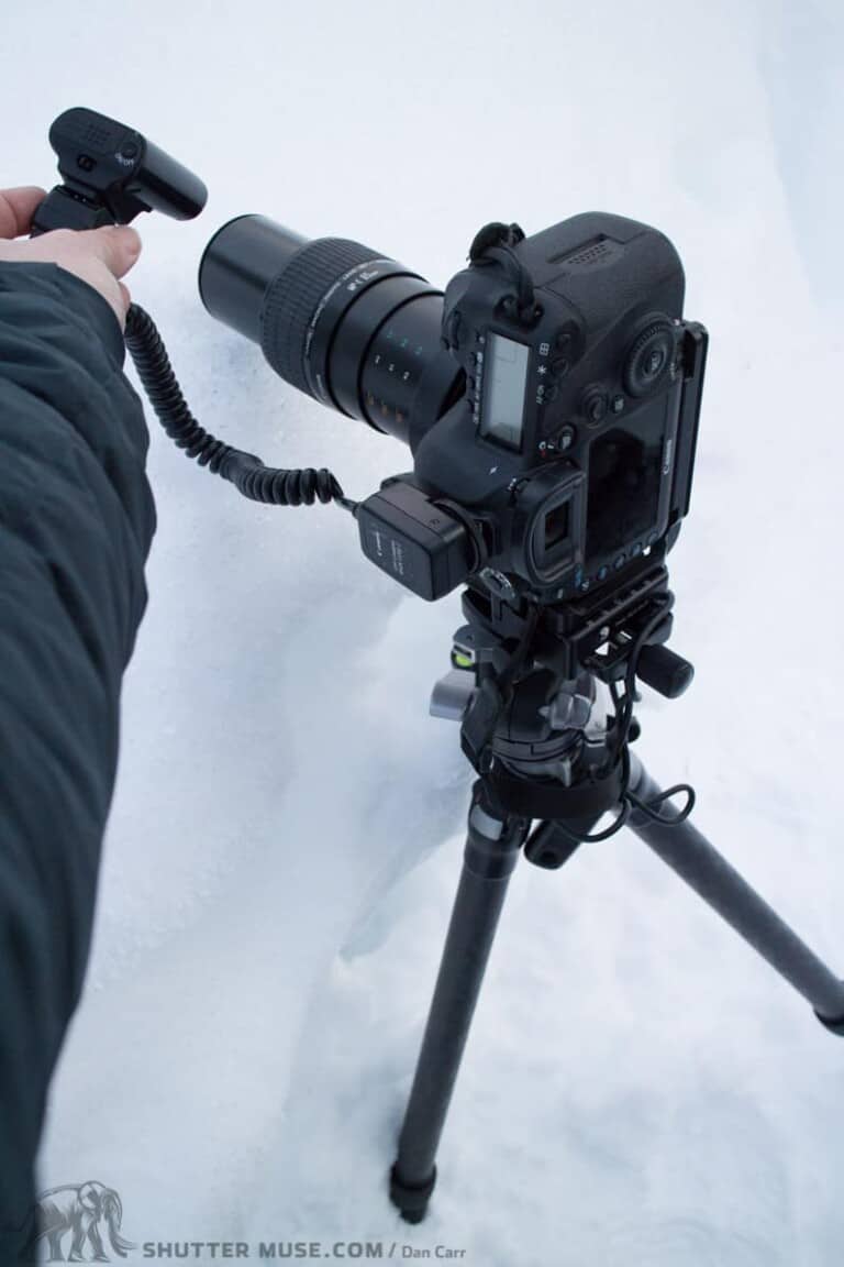 8 Pieces of Essential Macro Photography Gear