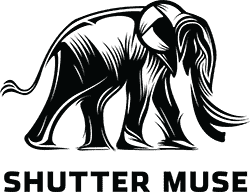 Shutter Muse