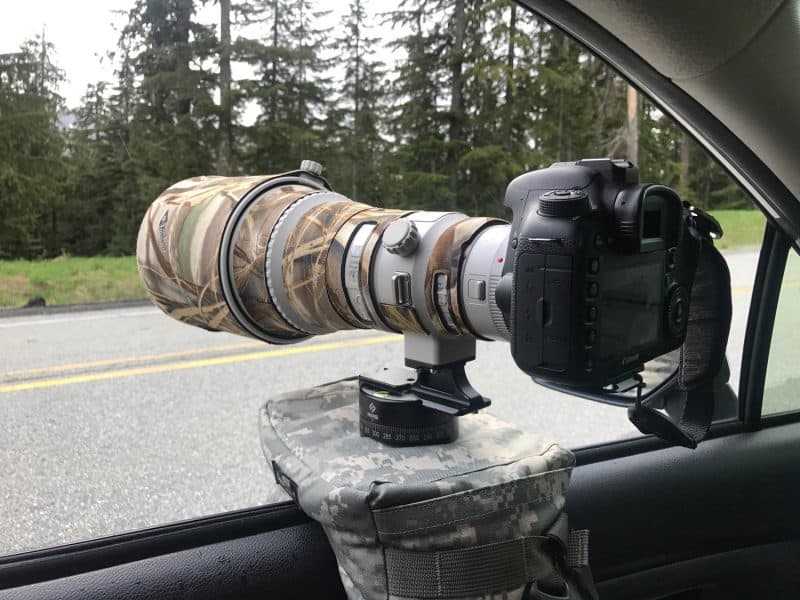 gear for wildlife photography