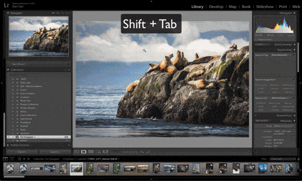 adobe photoshop lightroom 4 for mac pdf