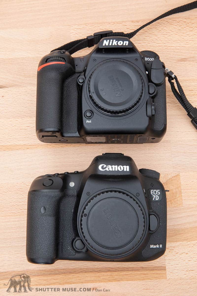 Canon Vs. Nikon - Here's How to Make Your Choice!