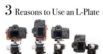 3 Big Reasons You Should Be Using an L-Plate on Your Camera