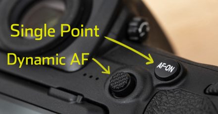 How to Set up Double Back Button Autofocus on Nikon Cameras for Quick AF Point Switching