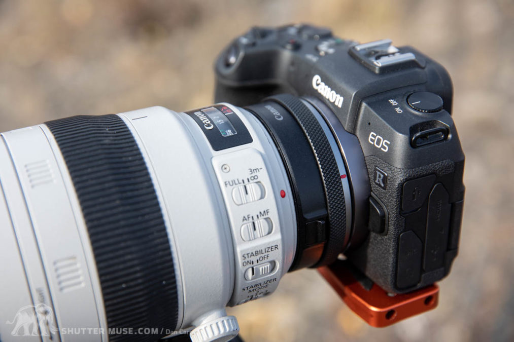 Canon Control Ring Mount Adapter EFEOS R Review The Best Option?