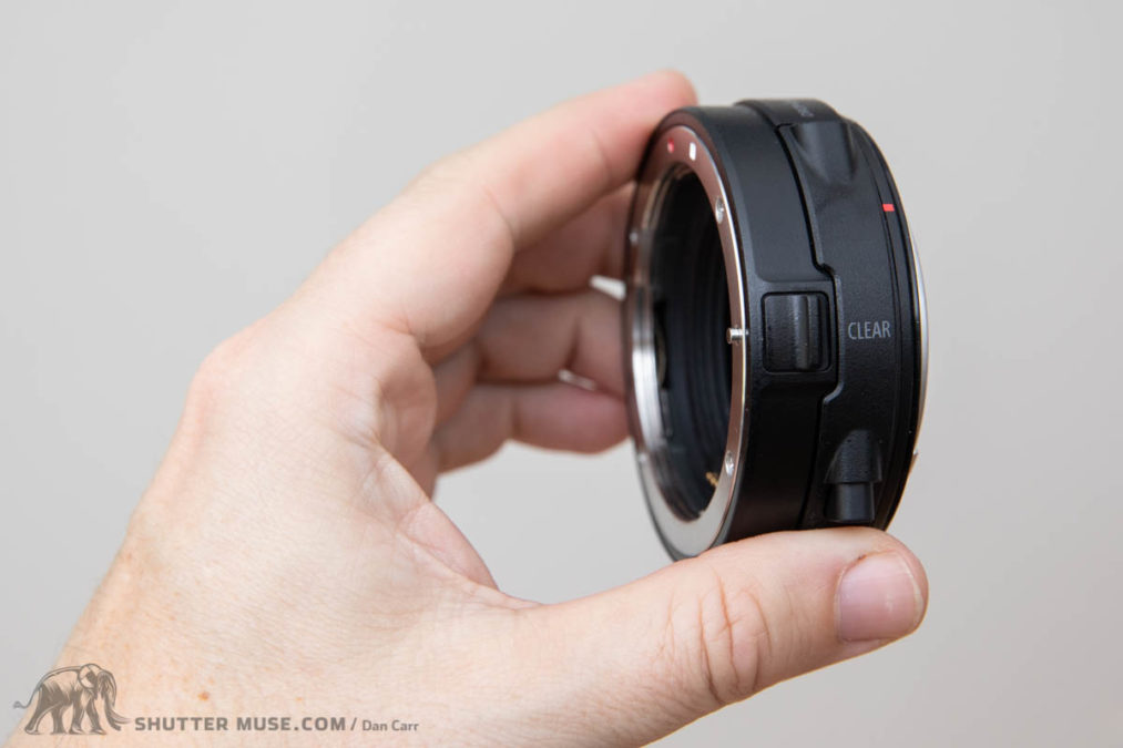 Can You Use EF Lenses On The Canon R5 and R6?