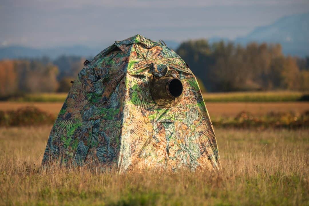 Expert Guide Tragopan Wildlife Photography Blinds 2020