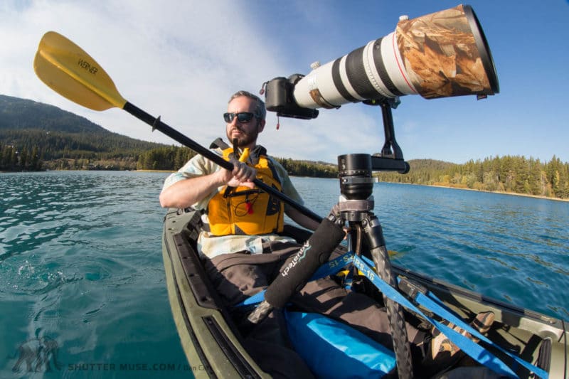 tripod for wildlife photography