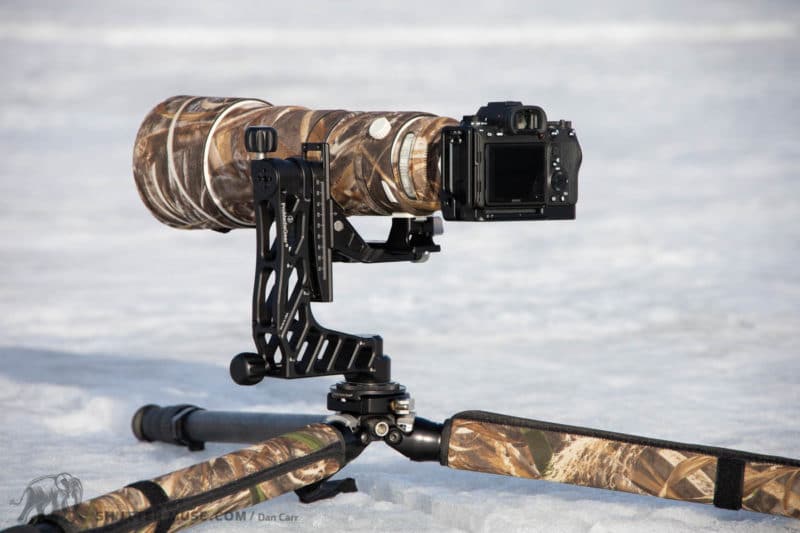 gear for wildlife photography