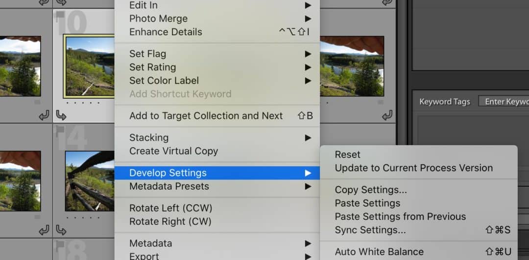 An Easy Trick to Remove Lens Flare From Your Photos