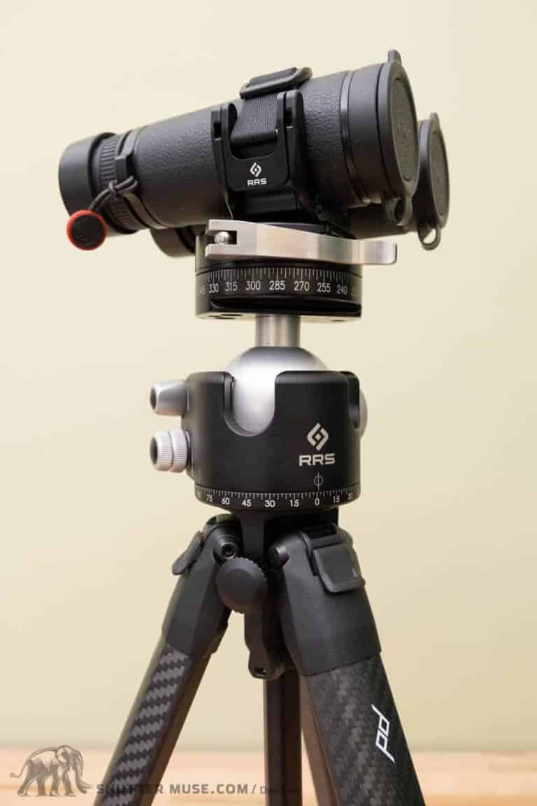 9 Essential Pieces Of Wildlife Photography Gear (+ One Myth!)