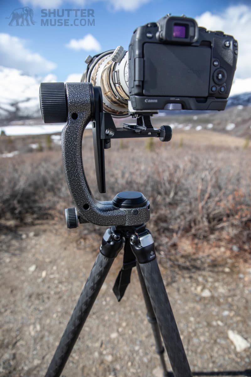 Gitzo Fluid Gimbal Head Is It Worth Your Money?