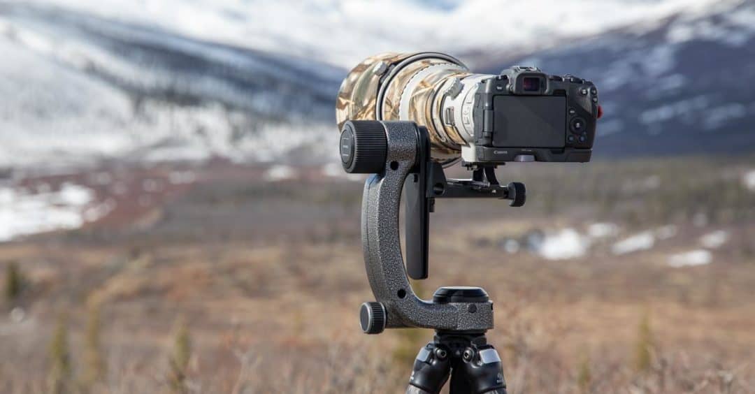 Gitzo Fluid Gimbal Head Is It Worth Your Money?