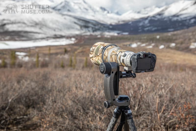 gimbal travel tripod