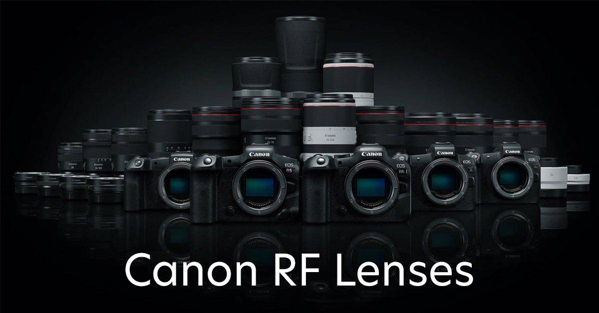 Which Canon DSLR Cameras Maintain Autofocus with Extenders at f/8 Max