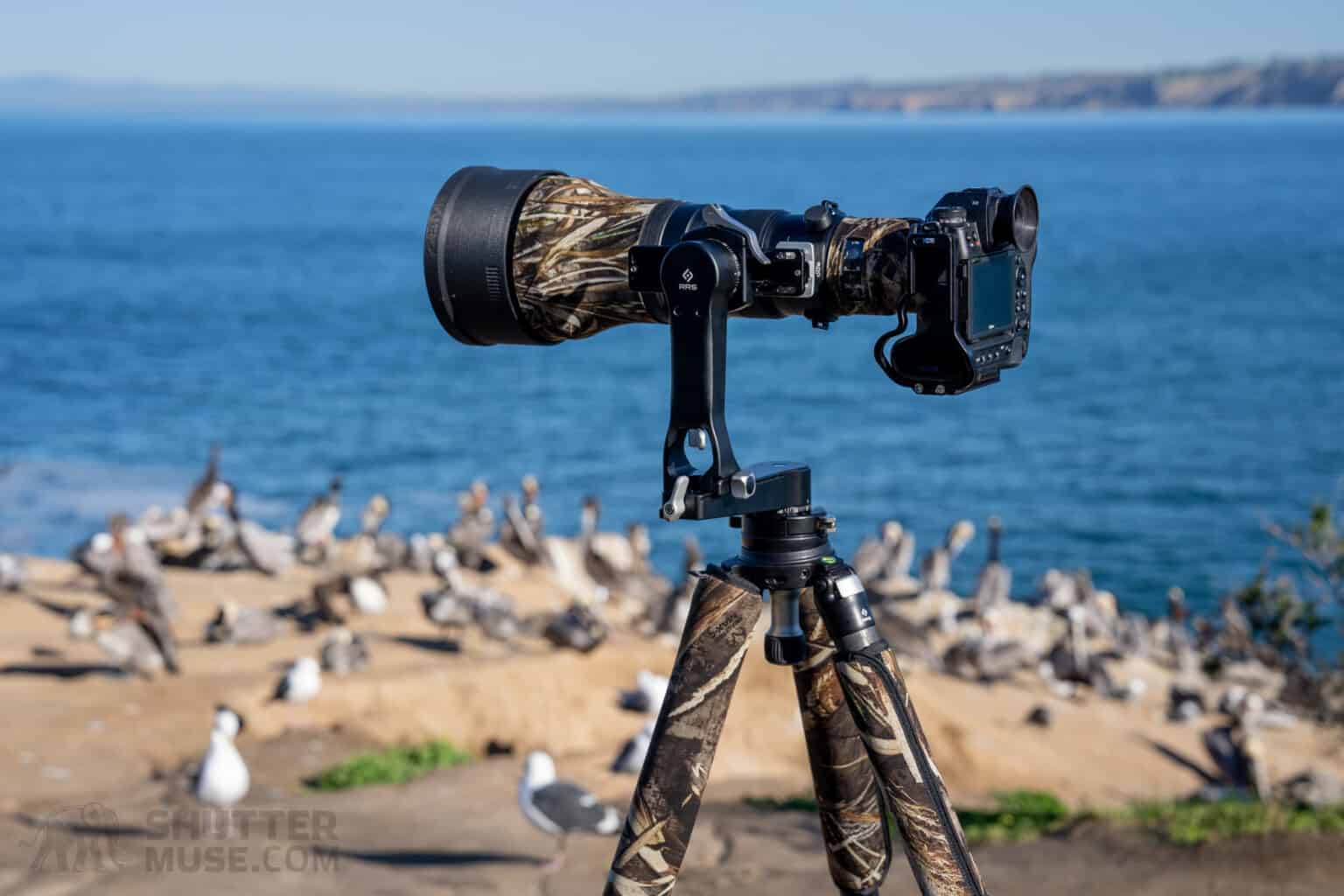 Flexshooter Pro + Mini Reviewed Only Tripod Head You Need?