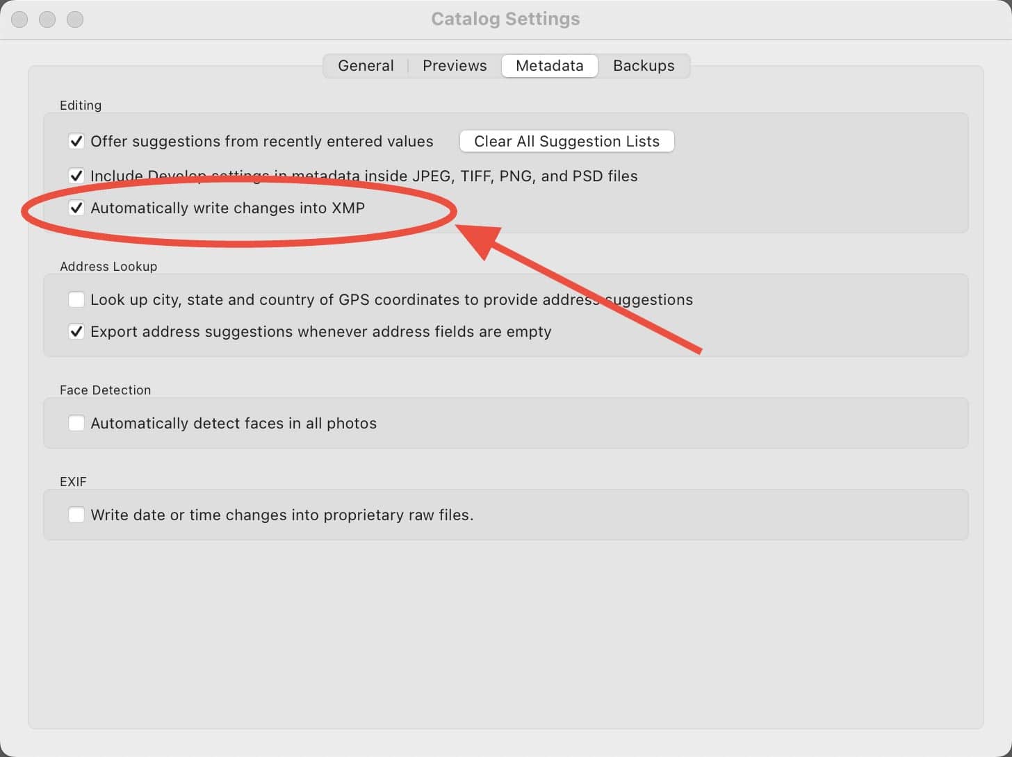 How to Manage Your Lightroom Catalog While Traveling