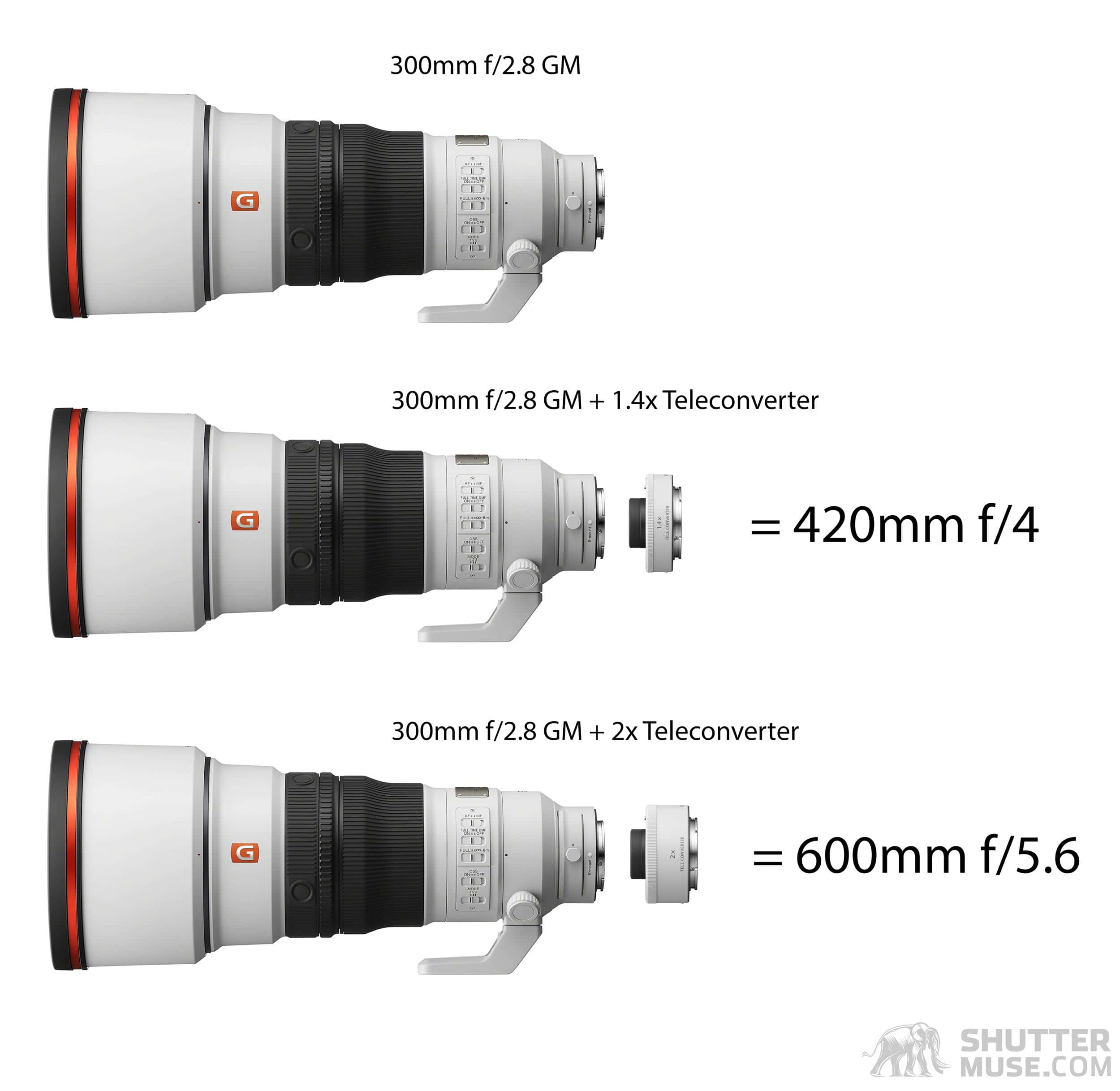 Sony 300mm F2.8 G + テレコンバーター + マウントアダプター Sony 300mm F2.8 G + テレコンバーター + マウントアダプター